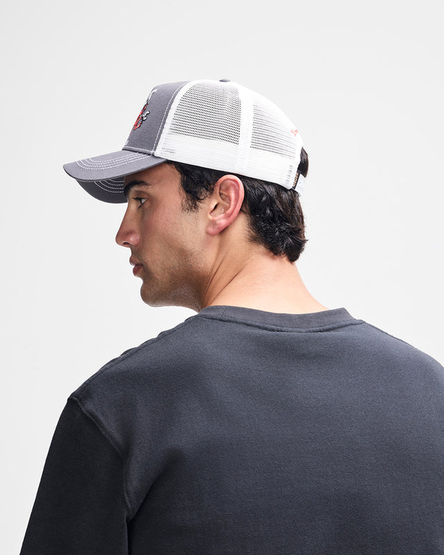 Boné Trucker Dogleg - Chumbo