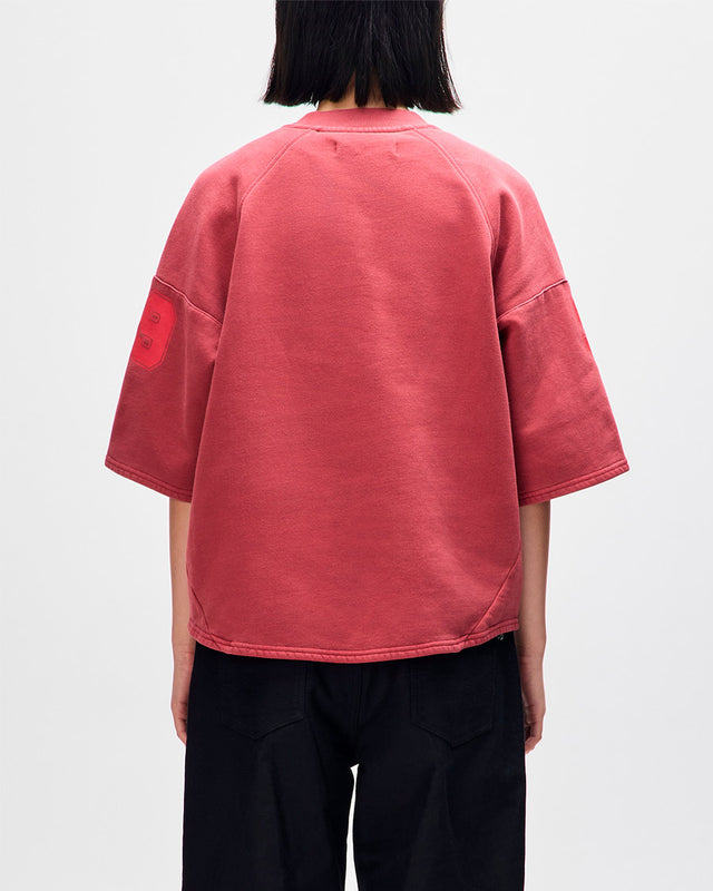 model_view